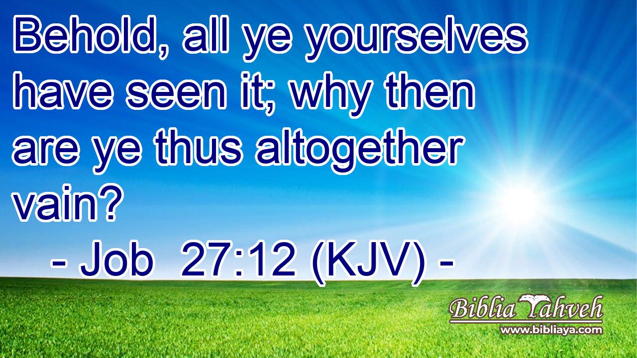 Behold, all ye yourselves have seen it; why then are ye thus altogether vain?