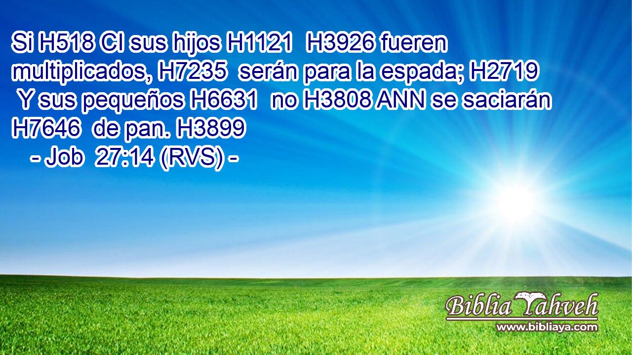 Si H518 CI sus hijos H1121  H3926 fueren multiplicados, H7235  serán para la espada; H2719  Y sus pequeños H6631  no H3808 ANN se saciarán H7646  de pan. H3899  