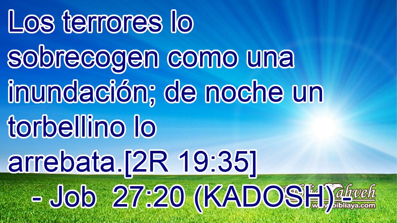  Los terrores lo sobrecogen como una inundación; de noche un torbellino lo arrebata.[2R 19:35] 