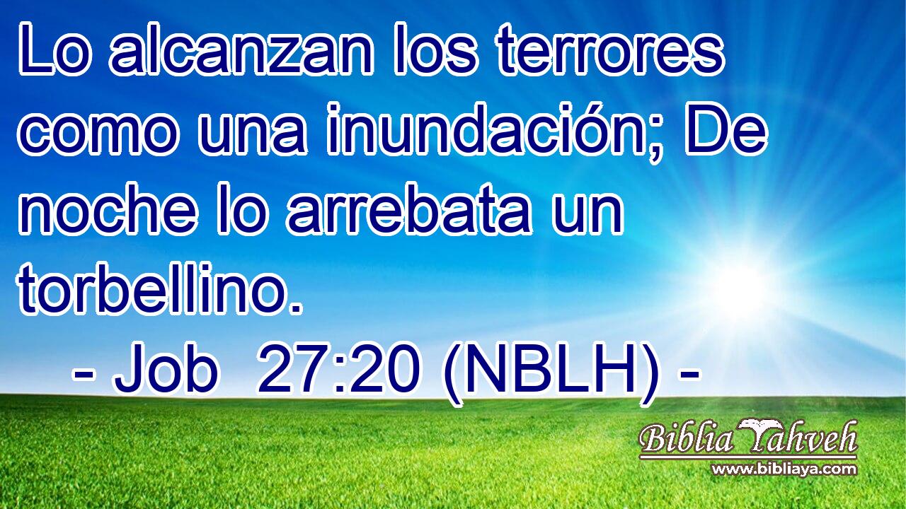 Lo alcanzan los terrores como una inundación; De noche lo arrebata un torbellino. 