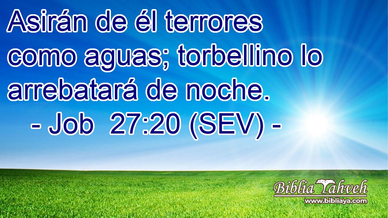 Asirán de él terrores como aguas; torbellino lo arrebatará de noche.