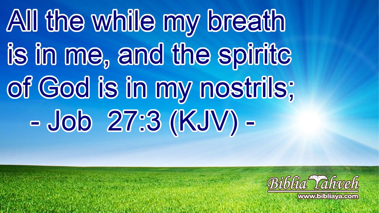 All the while my breath is in me, and the spiritc of God is in my nostrils;