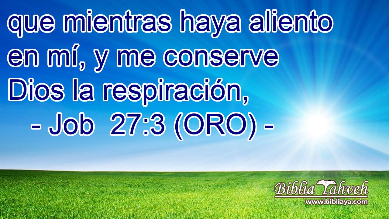  que mientras haya aliento en mí, y me conserve Dios la respiración, 