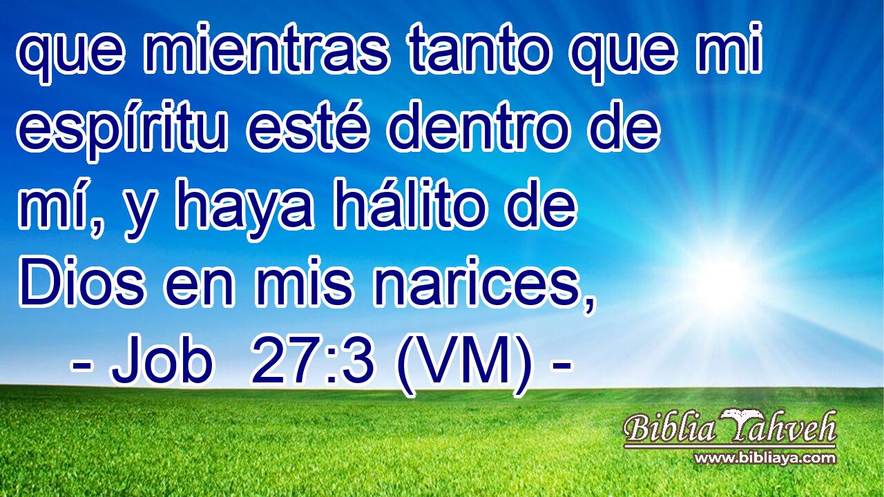  que mientras tanto que mi espíritu esté dentro de mí, y haya hálito de Dios en mis narices, 