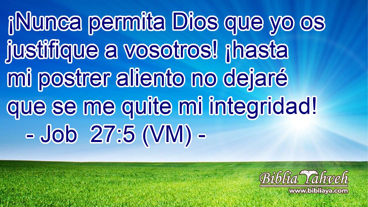  ¡Nunca permita Dios que yo os justifique a vosotros! ¡hasta mi postrer aliento no dejaré que se me quite mi integridad! 