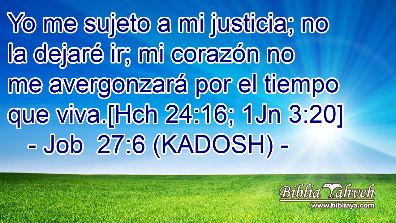  Yo me sujeto a mi justicia; no la dejaré ir; mi corazón no me avergonzará por el tiempo que viva.[Hch 24:16; 1Jn 3:20] 