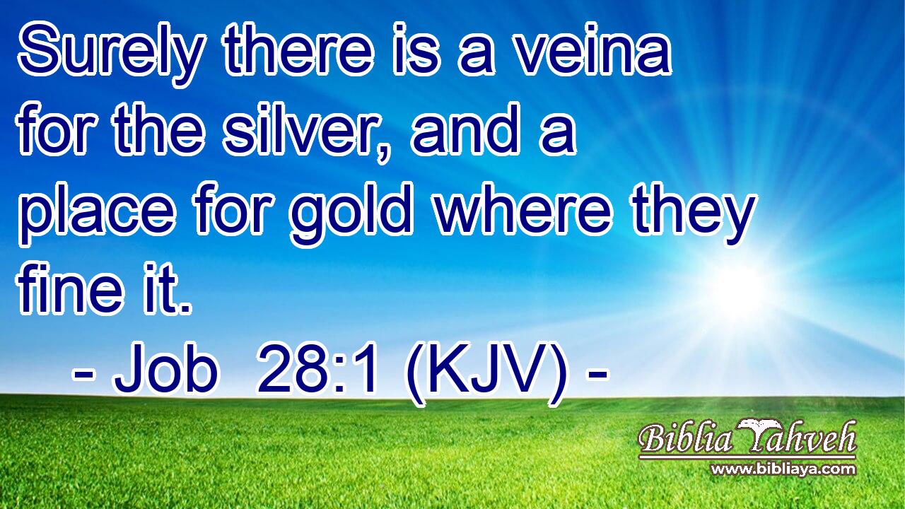 Surely there is a veina for the silver, and a place for gold where they fine it.