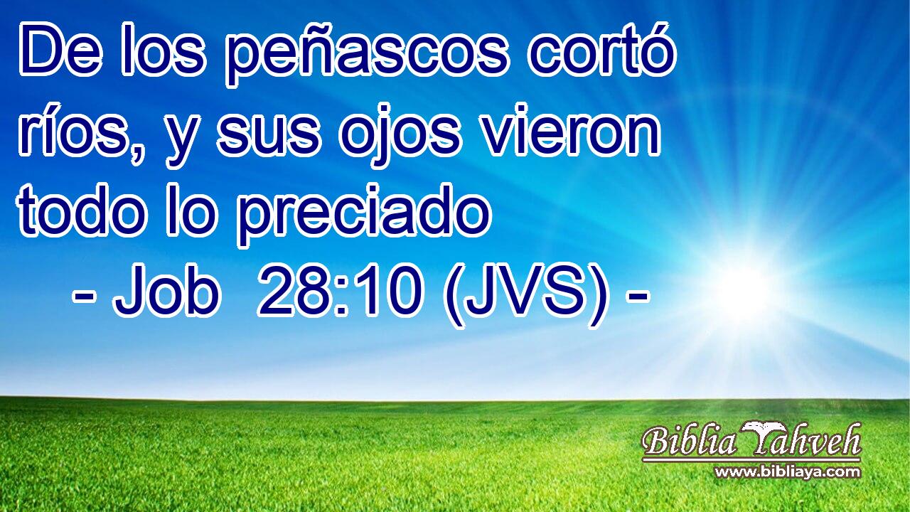 De los peñascos cortó ríos, y sus ojos vieron todo lo preciado