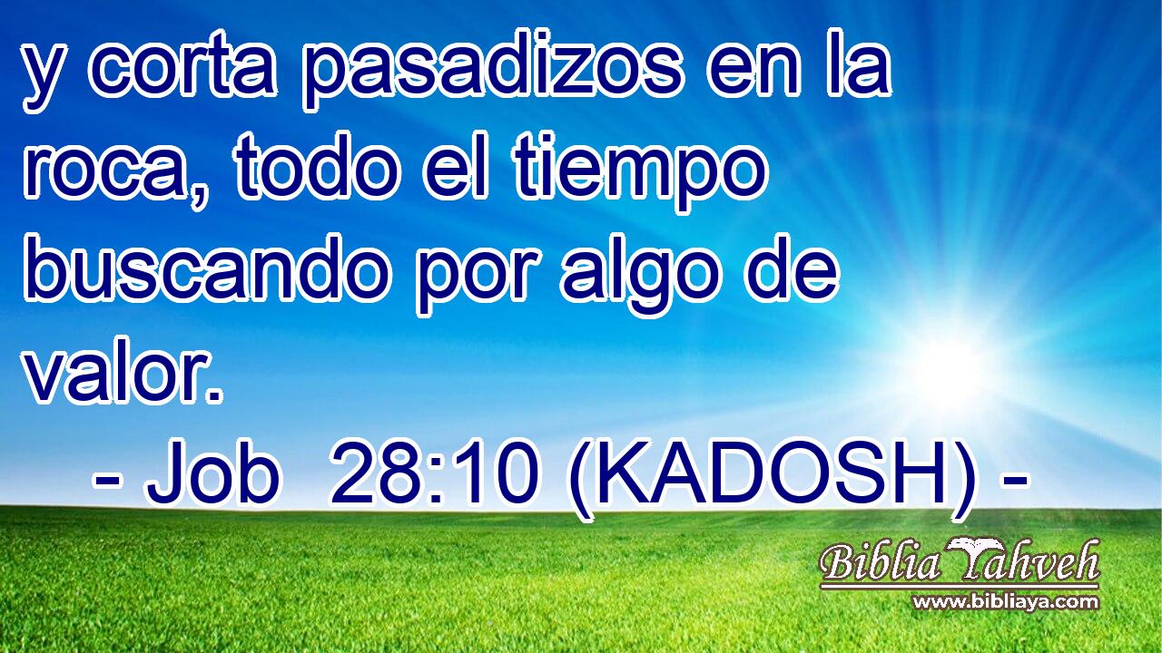  y corta pasadizos en la roca, todo el tiempo buscando por algo de valor. 