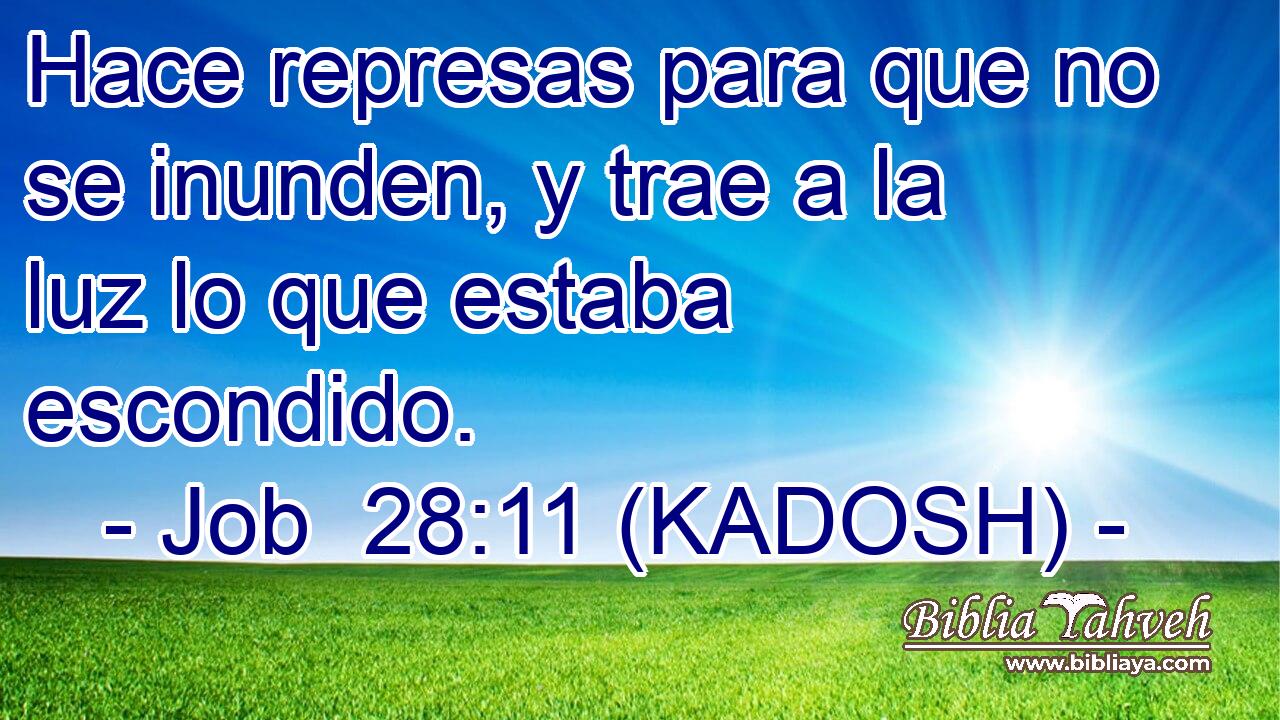  Hace represas para que no se inunden, y trae a la luz lo que estaba escondido. 
