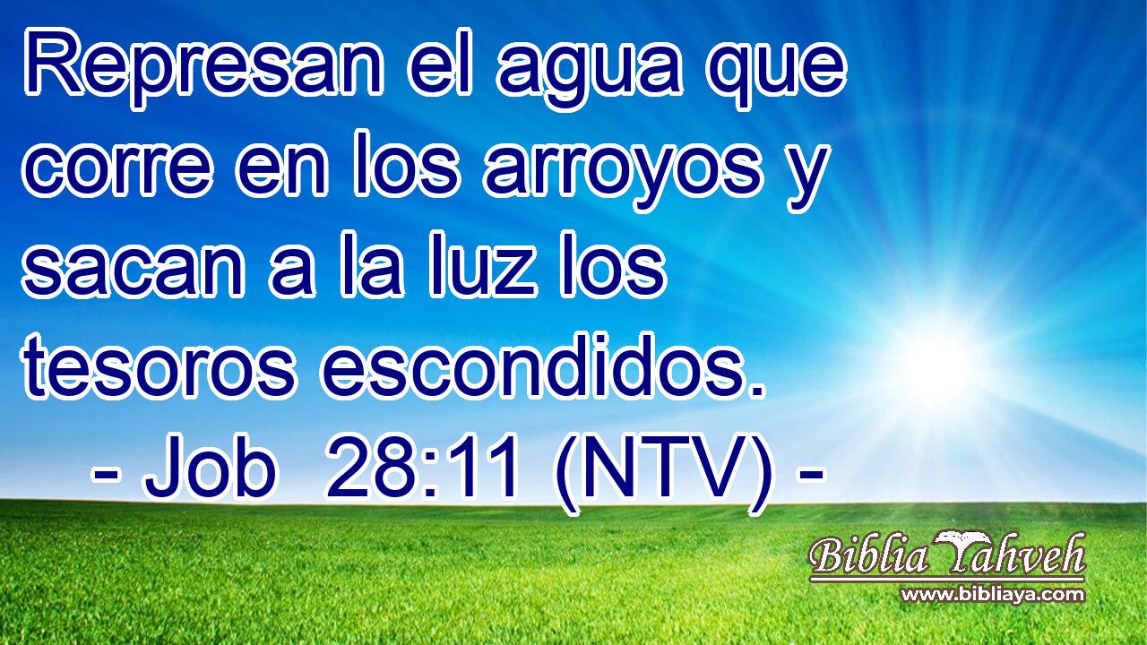 Represan el agua que corre en los arroyos y sacan a la luz los tesoros escondidos.