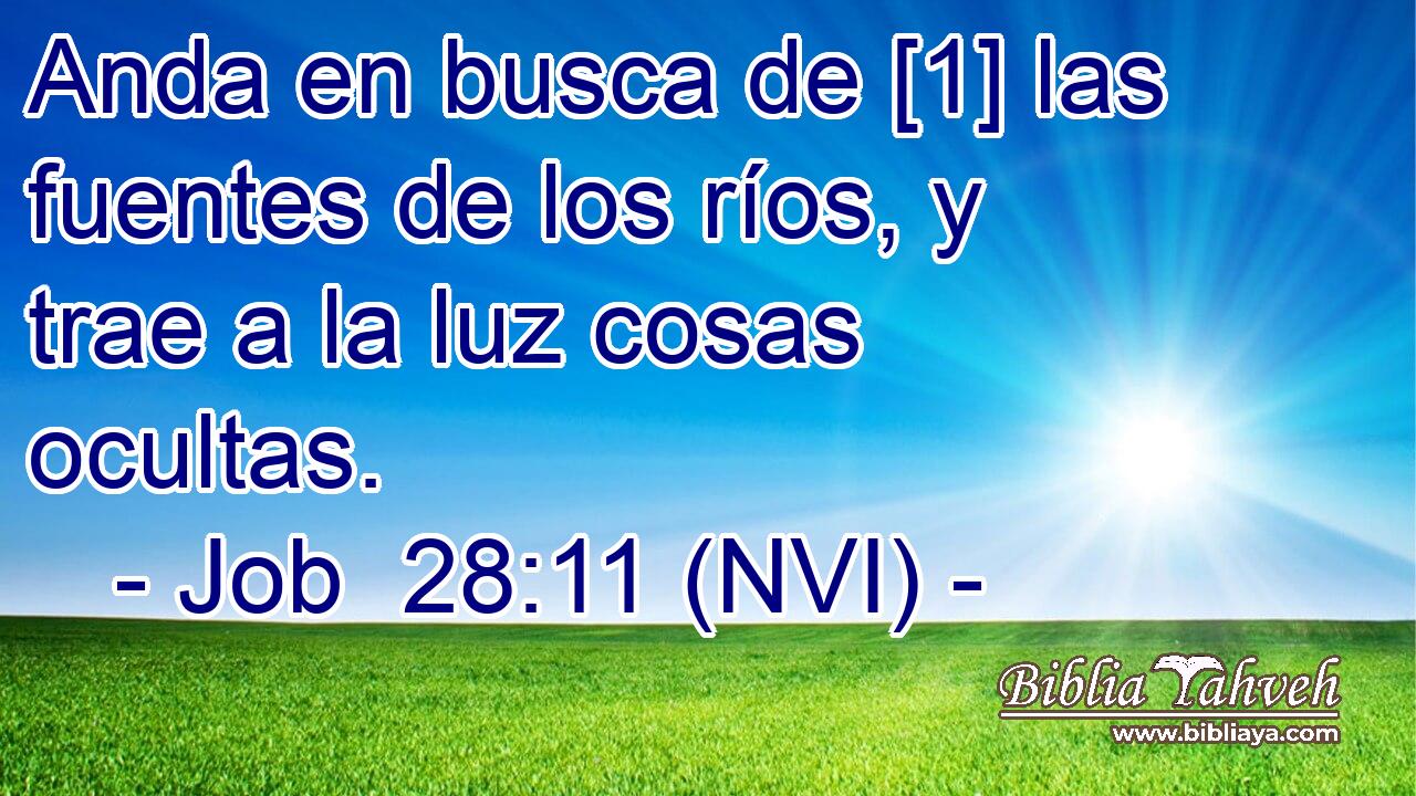  Anda en busca de [1] las fuentes de los ríos, y trae a la luz cosas ocultas. 