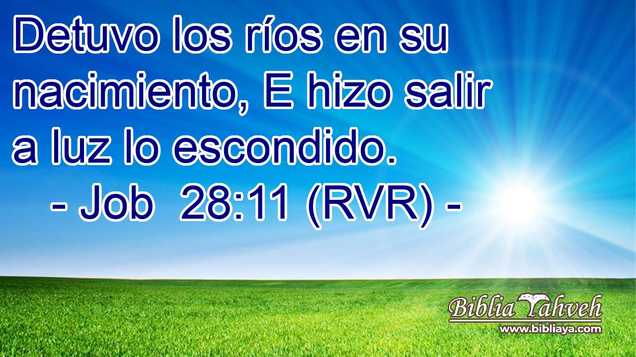 Detuvo los ríos en su nacimiento, E hizo salir a luz lo escondido.