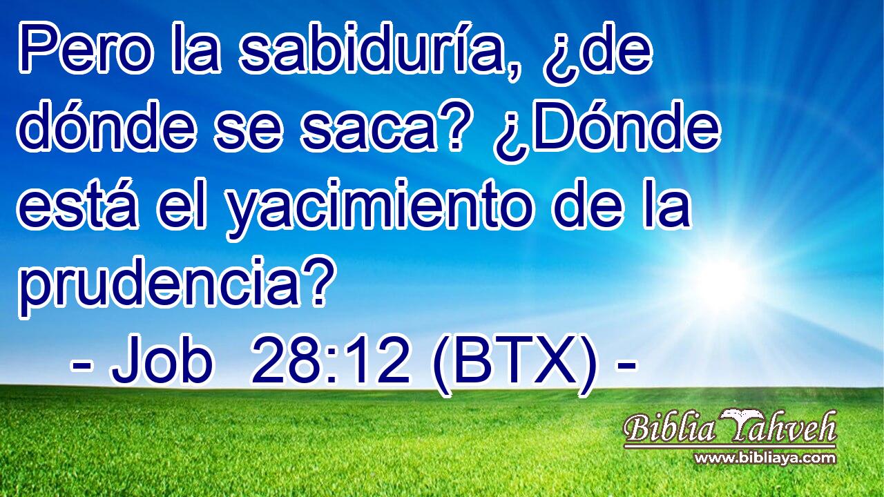 Pero la sabiduría, ¿de dónde se saca? ¿Dónde está el yacimiento de la prudencia?
