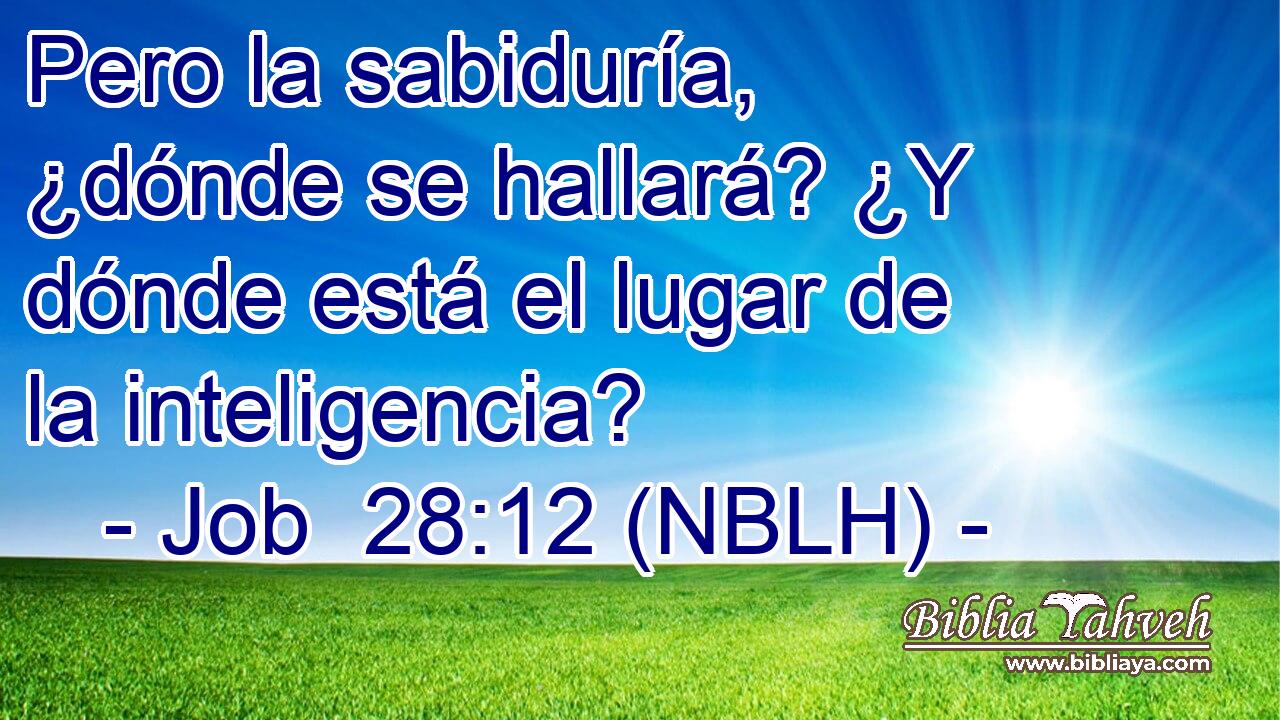  Pero la sabiduría, ¿dónde se hallará? ¿Y dónde está el lugar de la inteligencia? 