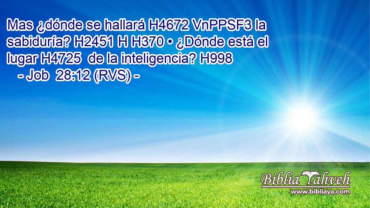Mas ¿dónde se hallará H4672 VnPPSF3 la sabiduría? H2451 H H370 • ¿Dónde está el lugar H4725  de la inteligencia? H998  