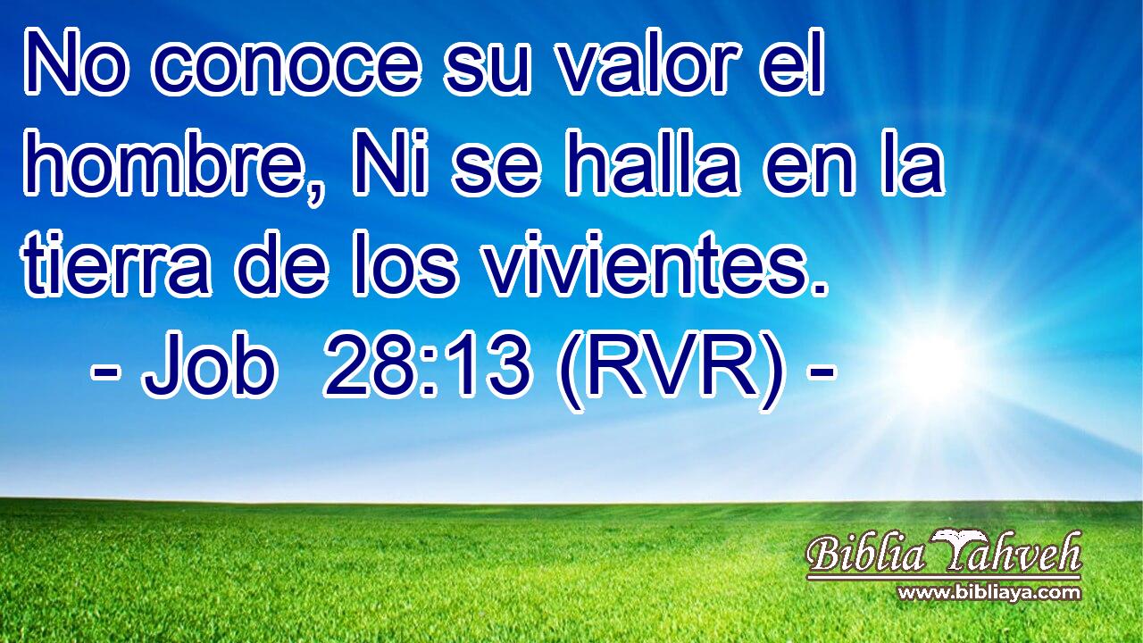 No conoce su valor el hombre, Ni se halla en la tierra de los vivientes.
