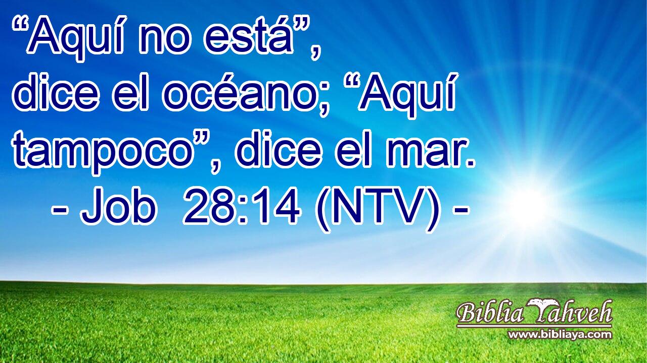 “Aquí no está”, dice el océano; “Aquí tampoco”, dice el mar.