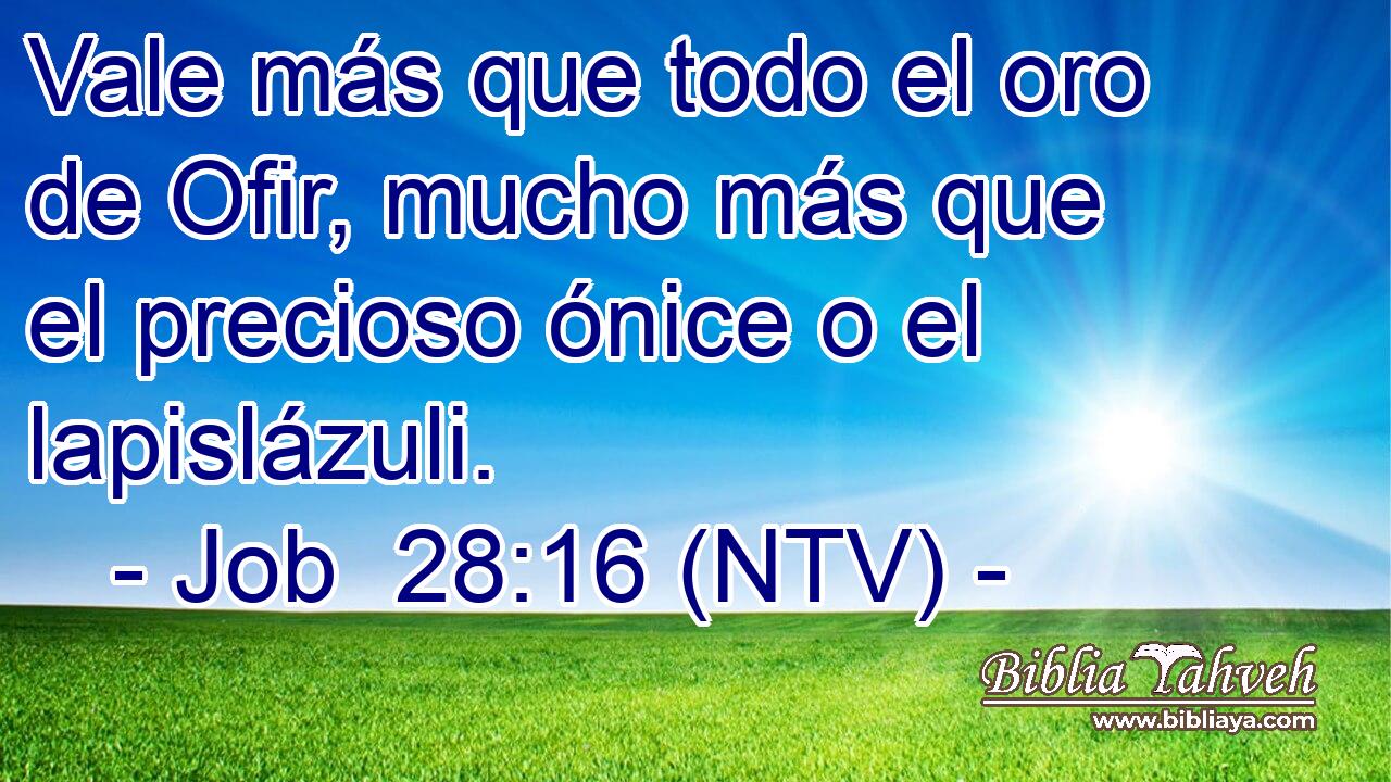 Vale más que todo el oro de Ofir, mucho más que el precioso ónice o el lapislázuli.