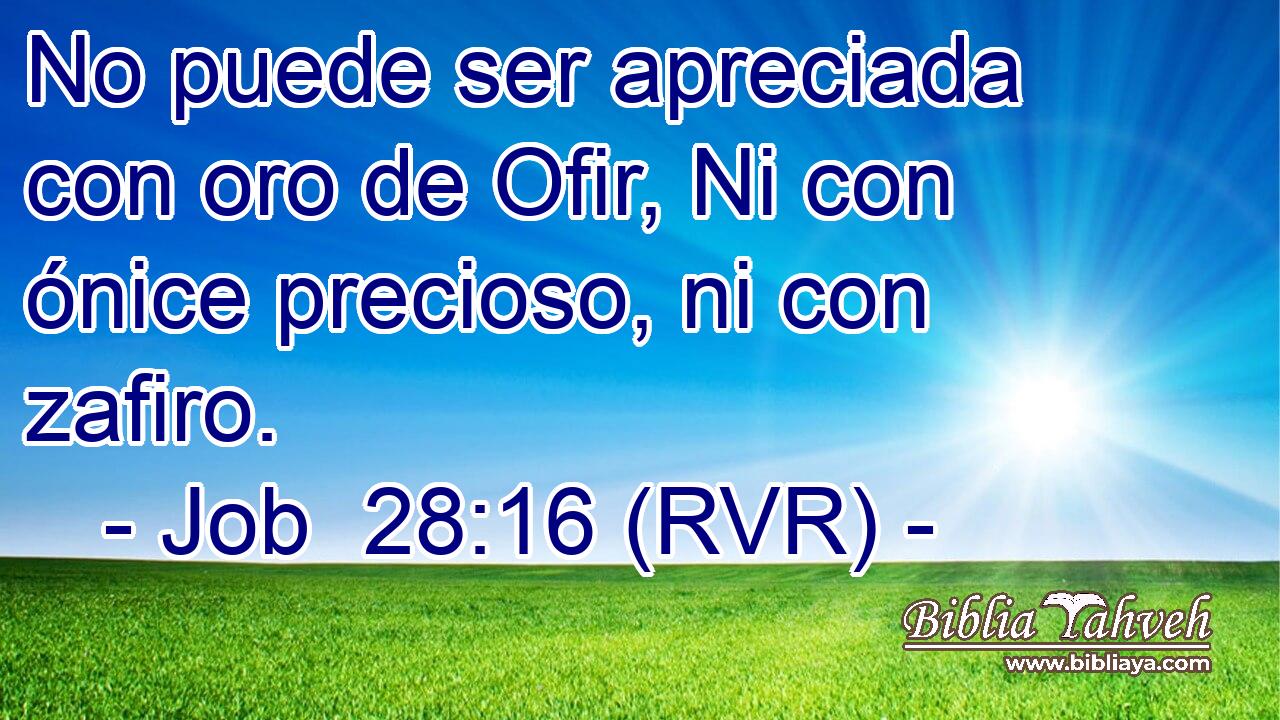 No puede ser apreciada con oro de Ofir, Ni con ónice precioso, ni con zafiro.