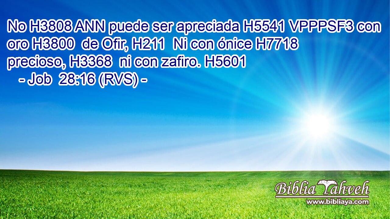 No H3808 ANN puede ser apreciada H5541 VPPPSF3 con oro H3800  de Ofir, H211  Ni con ónice H7718  precioso, H3368  ni con zafiro. H5601  