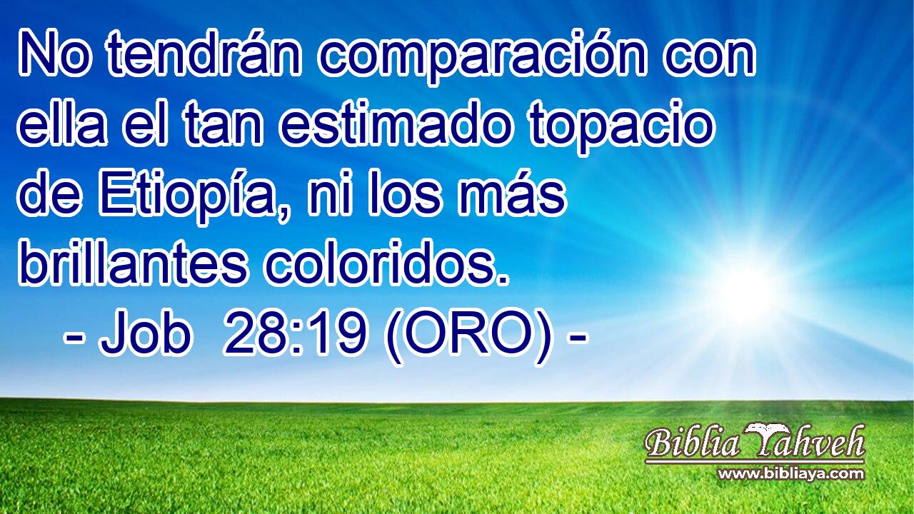  No tendrán comparación con ella el tan estimado topacio de Etiopía, ni los más brillantes coloridos. 
