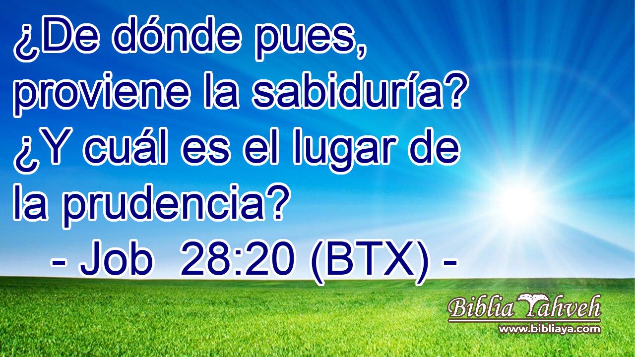 ¿De dónde pues, proviene la sabiduría? ¿Y cuál es el lugar de la prudencia?