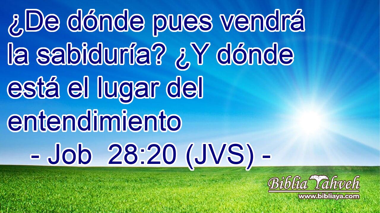 ¿De dónde pues vendrá la sabiduría? ¿Y dónde está el lugar del entendimiento