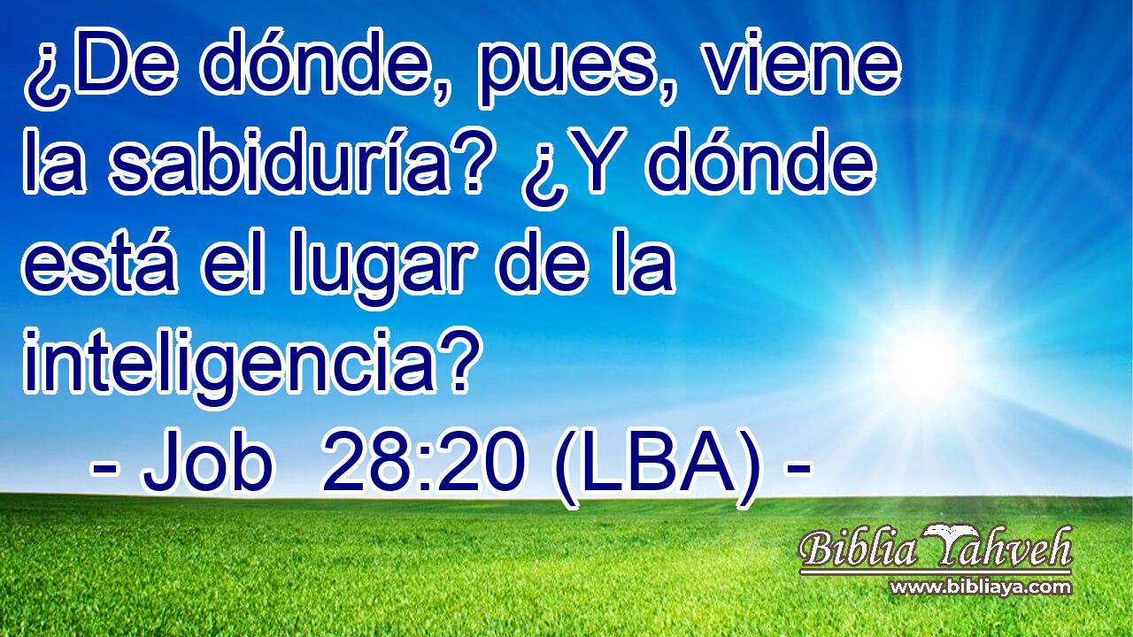 ¿De dónde, pues, viene la sabiduría? ¿Y dónde está el lugar de la inteligencia?