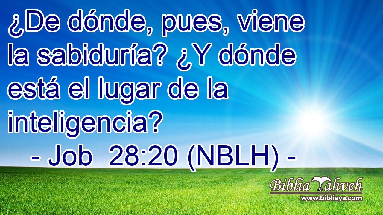  ¿De dónde, pues, viene la sabiduría? ¿Y dónde está el lugar de la inteligencia? 