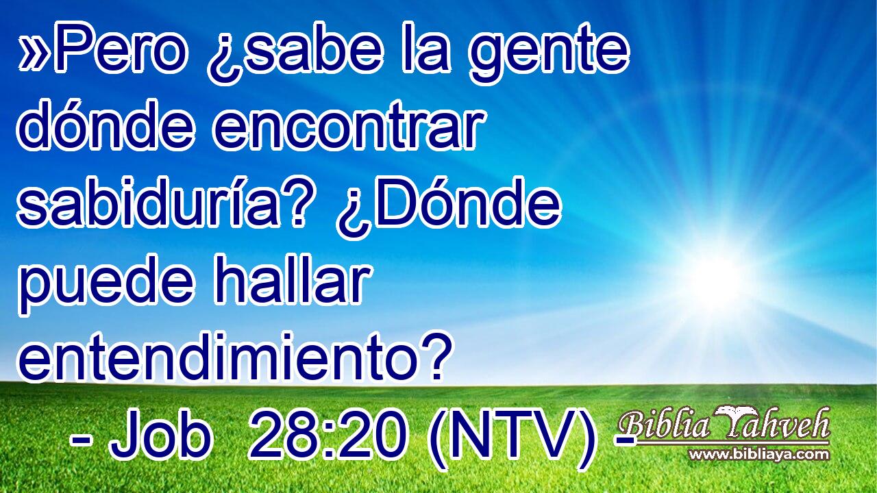 »Pero ¿sabe la gente dónde encontrar sabiduría? ¿Dónde puede hallar entendimiento?