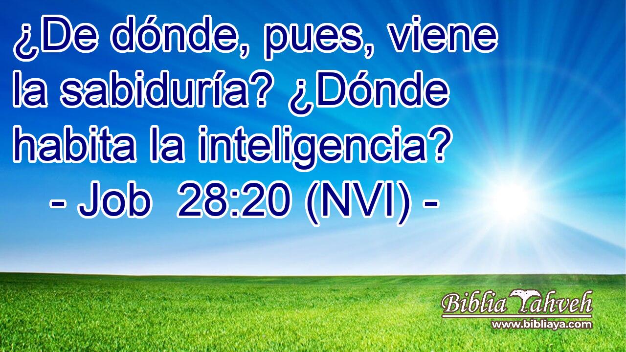  ¿De dónde, pues, viene la sabiduría? ¿Dónde habita la inteligencia? 