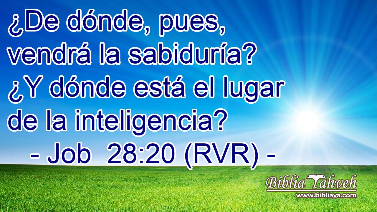 ¿De dónde, pues, vendrá la sabiduría? ¿Y dónde está el lugar de la inteligencia?