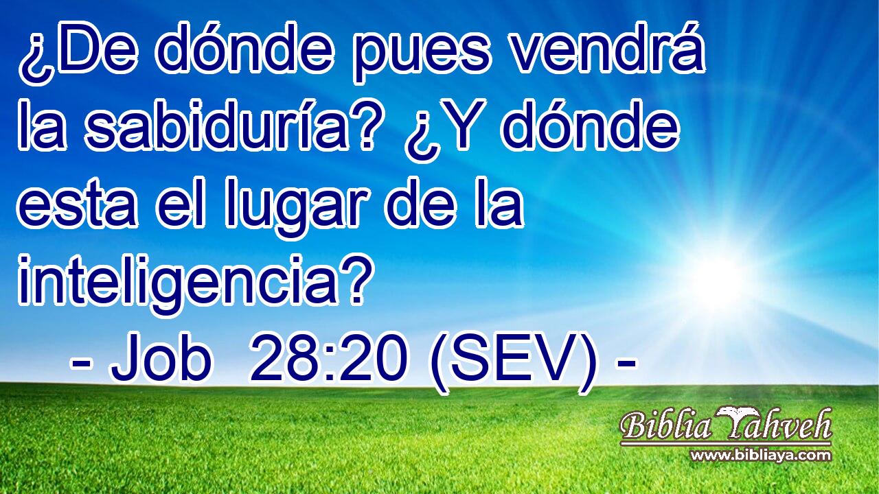 ¿De dónde pues vendrá la sabiduría? ¿Y dónde esta el lugar de la inteligencia?