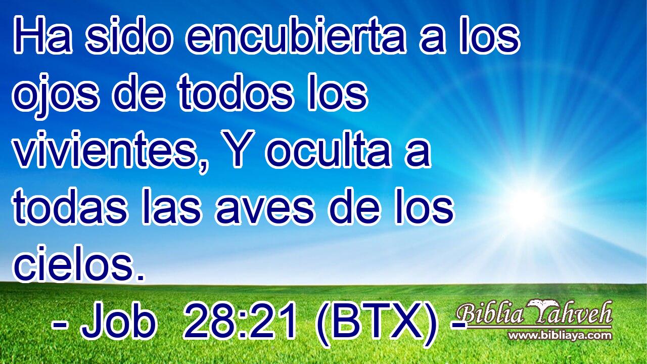 Ha sido encubierta a los ojos de todos los vivientes, Y oculta a todas las aves de los cielos.