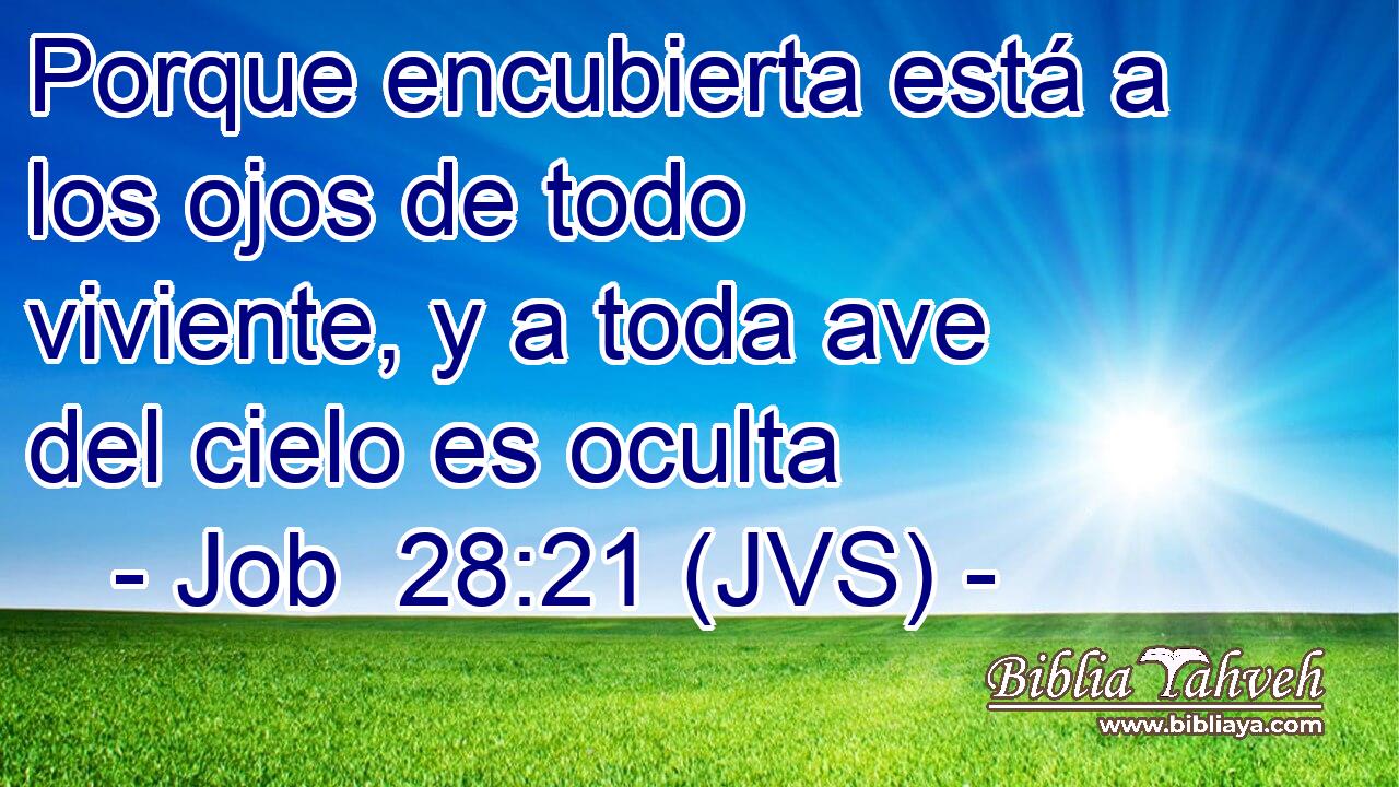 Porque encubierta está a los ojos de todo viviente, y a toda ave del cielo es oculta