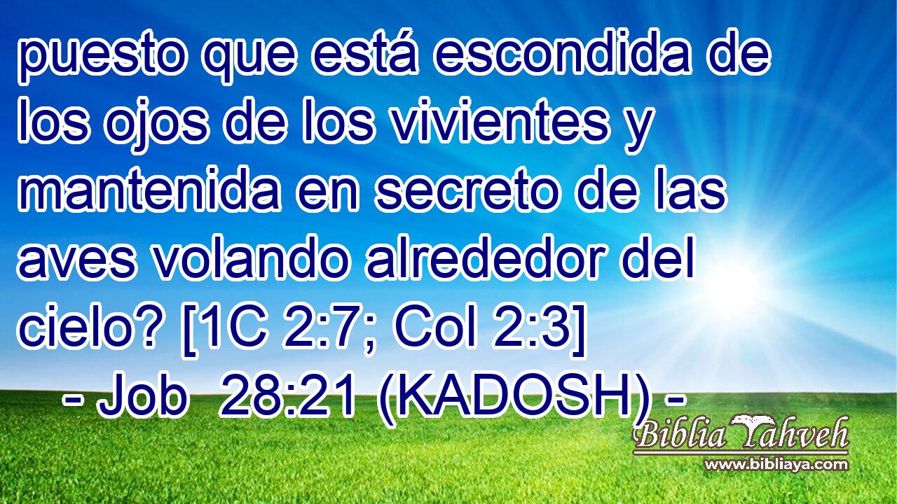  puesto que está escondida de los ojos de los vivientes y mantenida en secreto de las aves volando alrededor del cielo? [1C 2:7; Col 2:3] 