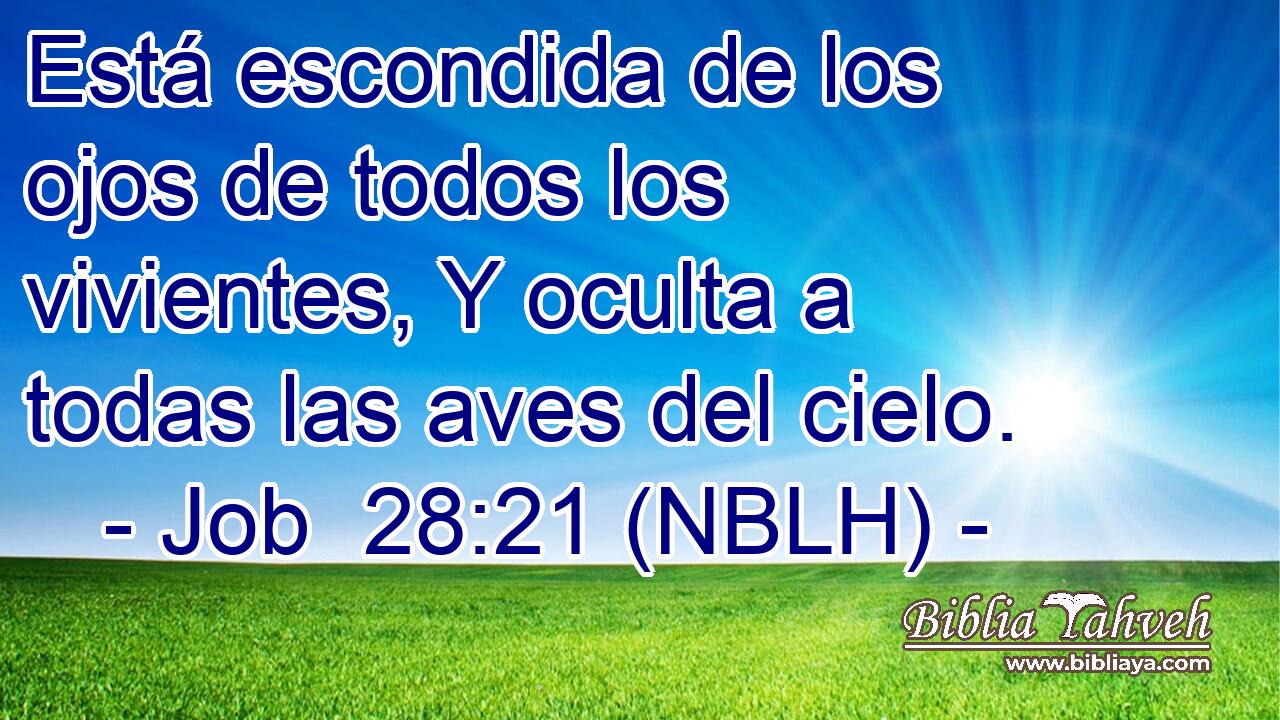  Está escondida de los ojos de todos los vivientes, Y oculta a todas las aves del cielo. 