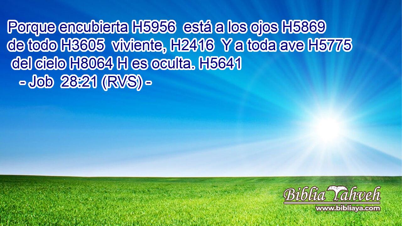 Porque encubierta H5956  está a los ojos H5869  de todo H3605  viviente, H2416  Y a toda ave H5775  del cielo H8064 H es oculta. H5641  