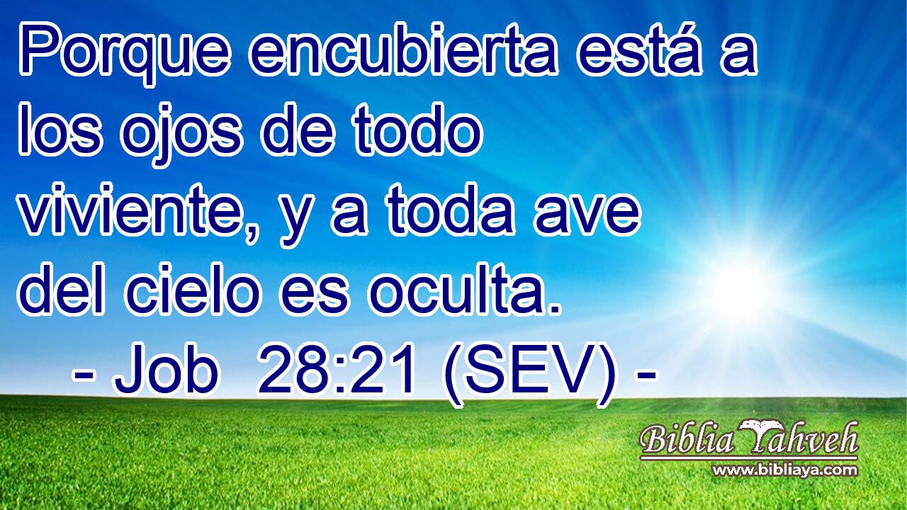 Porque encubierta está a los ojos de todo viviente, y a toda ave del cielo es oculta.