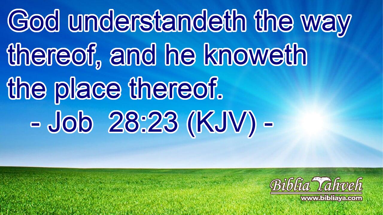 God understandeth the way thereof, and he knoweth the place thereof.