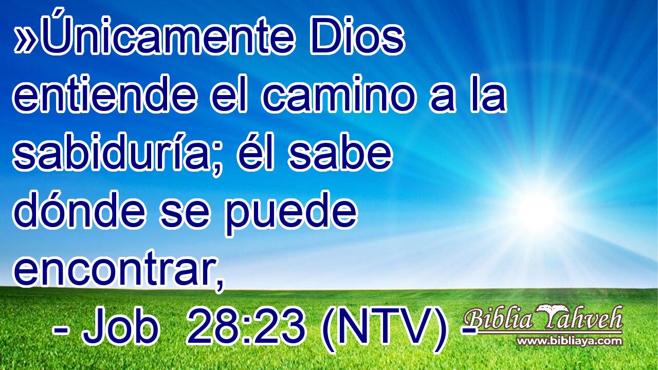 »Únicamente Dios entiende el camino a la sabiduría; él sabe dónde se puede encontrar,