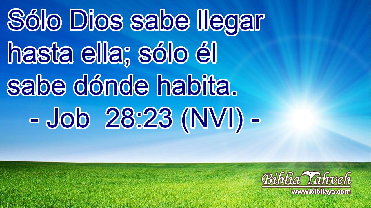  Sólo Dios sabe llegar hasta ella; sólo él sabe dónde habita. 