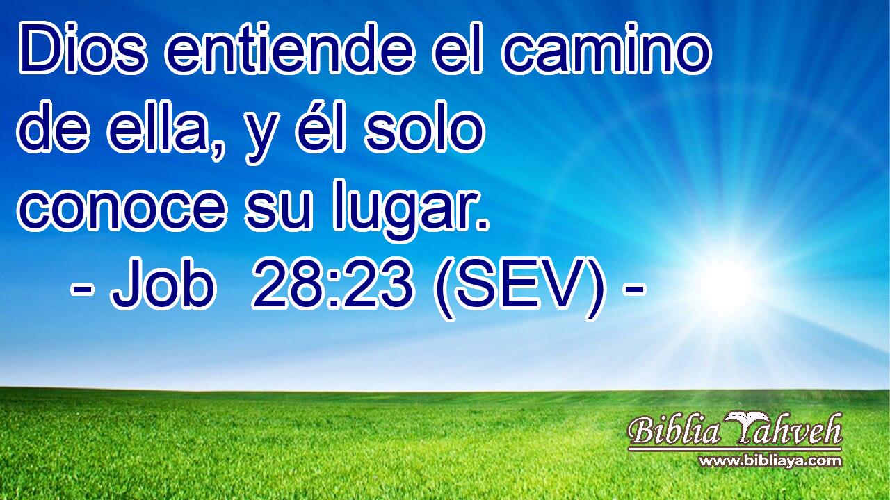 Dios entiende el camino de ella, y él solo conoce su lugar.