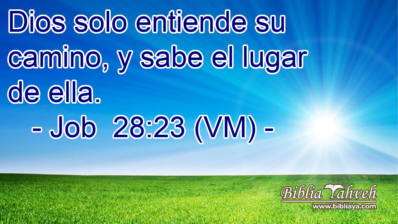  Dios solo entiende su camino, y sabe el lugar de ella. 