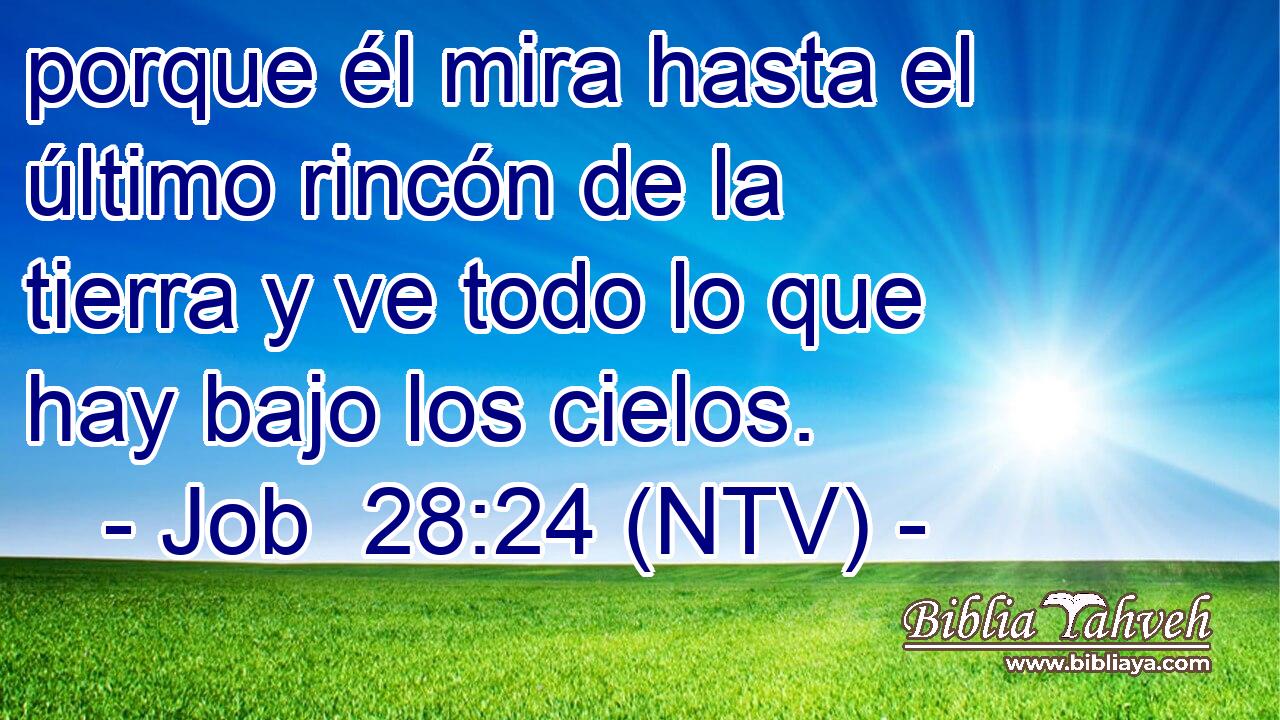 porque él mira hasta el último rincón de la tierra y ve todo lo que hay bajo los cielos.