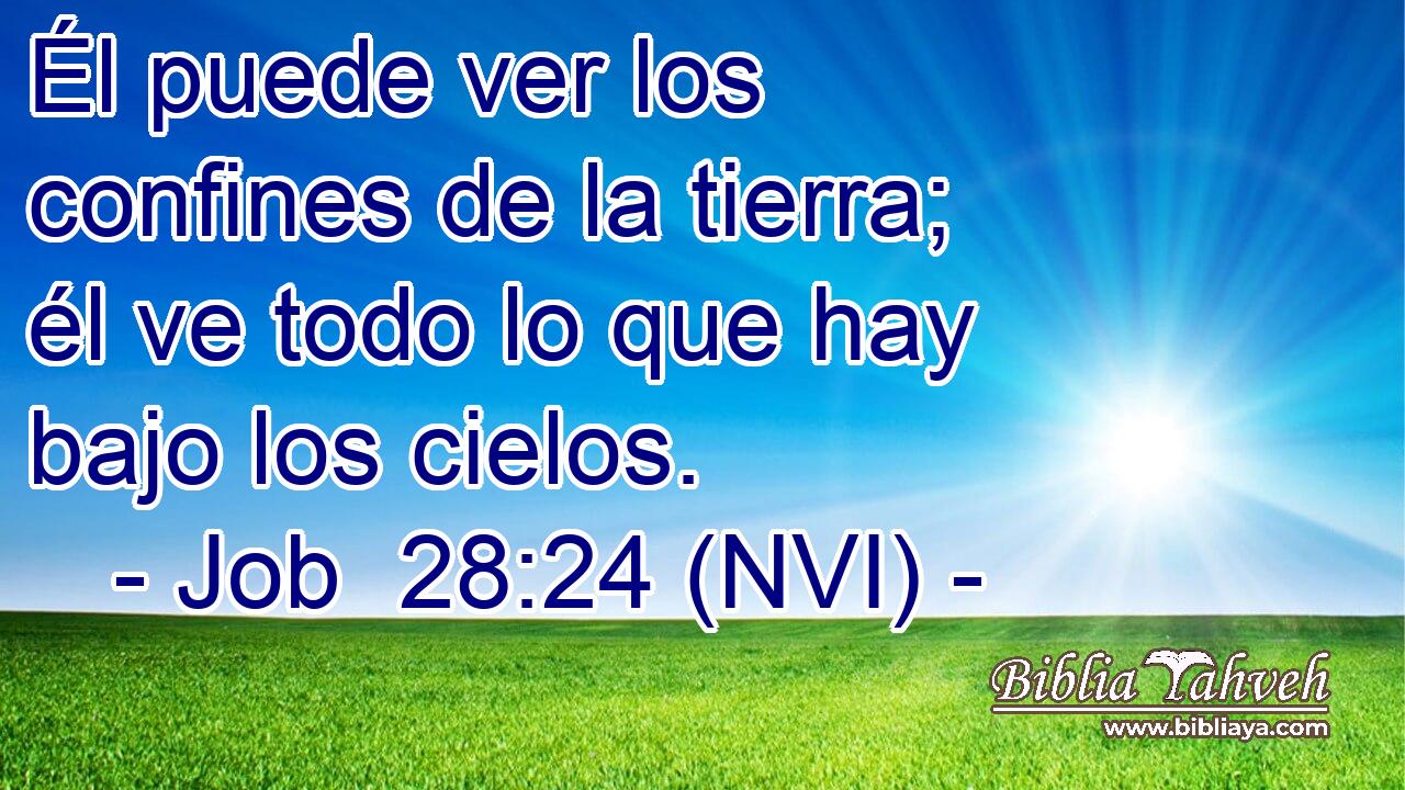  Él puede ver los confines de la tierra; él ve todo lo que hay bajo los cielos. 