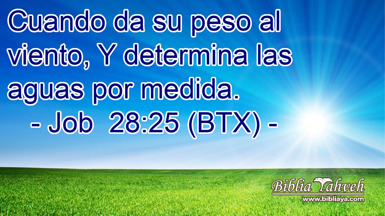 Cuando da su peso al viento, Y determina las aguas por medida.