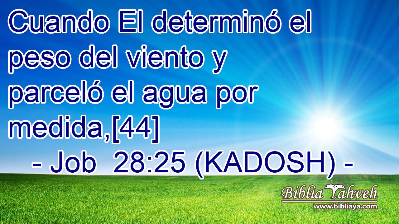  Cuando El determinó el peso del viento y parceló el agua por medida,[44] 