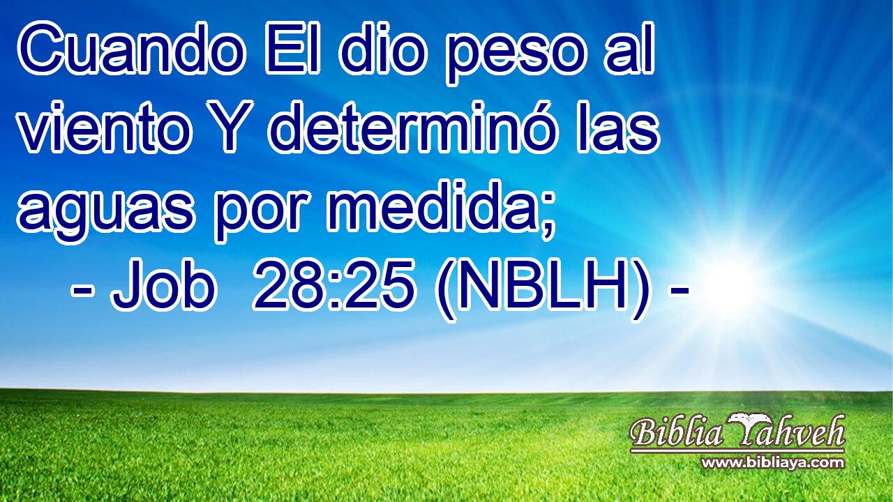  Cuando El dio peso al viento Y determinó las aguas por medida; 